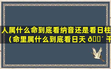 人属什么命到底看纳音还是看日柱（命里属什么到底看日天 🌴 干还是看出生年 ☘ 的纳音五行）